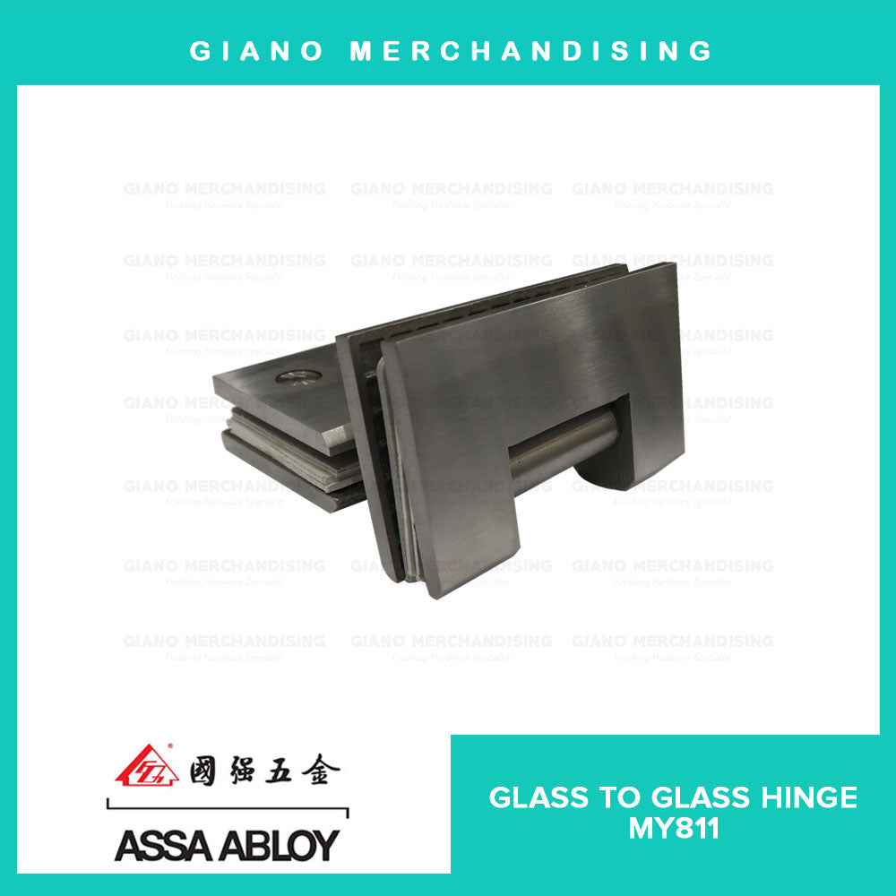 Assa Abloy Glass to Glass Hinge MY811