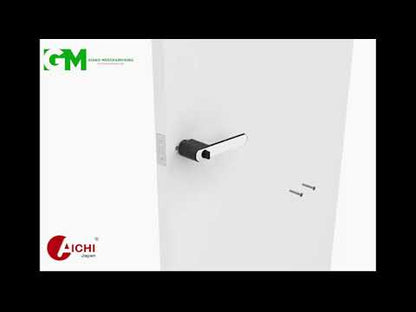 Aichi Concealed Door Lock B262 ORB