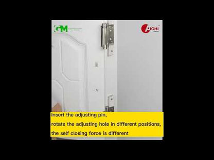 Aichi Double Action Door Hinge